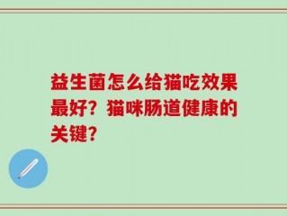 益生菌怎么给猫吃效果最好？猫咪肠道健康的关键？