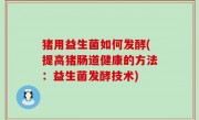 猪用益生菌如何发酵(提高猪肠道健康的方法：益生菌发酵技术)