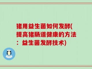 猪用益生菌如何发酵(提高猪肠道健康的方法：益生菌发酵技术)