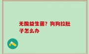 无酸益生菌？狗狗拉肚子怎么办