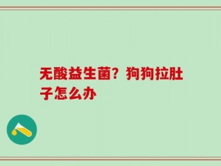 无酸益生菌？狗狗拉肚子怎么办