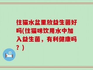 往猫水盆里放益生菌好吗(往猫咪饮用水中加入益生菌，有利健康吗？)
