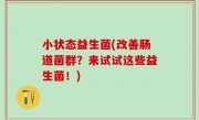 小状态益生菌(改善肠道菌群？来试试这些益生菌！)