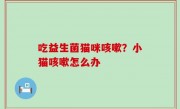 吃益生菌猫咪咳嗽？小猫咳嗽怎么办