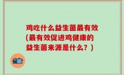 鸡吃什么益生菌最有效(最有效促进鸡健康的益生菌来源是什么？)