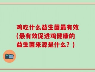 鸡吃什么益生菌最有效(最有效促进鸡健康的益生菌来源是什么？)