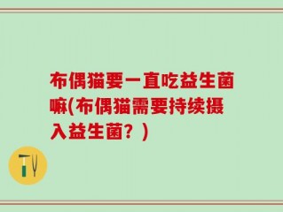 布偶猫要一直吃益生菌嘛(布偶猫需要持续摄入益生菌？)