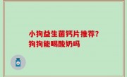 小狗益生菌钙片推荐？狗狗能喝酸奶吗