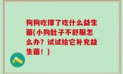 狗狗吃撑了吃什么益生菌(小狗肚子不舒服怎么办？试试给它补充益生菌！)