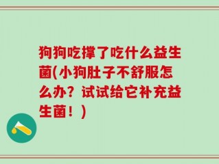 狗狗吃撑了吃什么益生菌(小狗肚子不舒服怎么办？试试给它补充益生菌！)