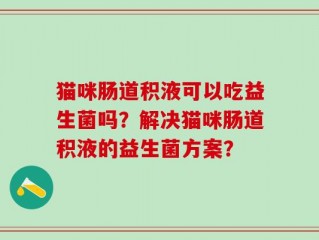 猫咪肠道积液可以吃益生菌吗？解决猫咪肠道积液的益生菌方案？