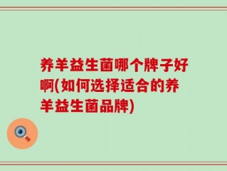 养羊益生菌哪个牌子好啊(如何选择适合的养羊益生菌品牌)