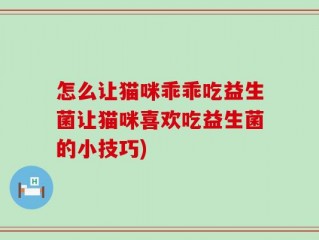 怎么让猫咪乖乖吃益生菌让猫咪喜欢吃益生菌的小技巧)