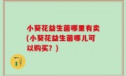 小葵花益生菌哪里有卖(小葵花益生菌哪儿可以购买？)