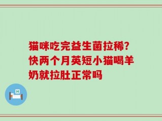 猫咪吃完益生菌拉稀？快两个月英短小猫喝羊奶就拉肚正常吗