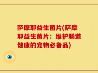 萨摩耶益生菌片(萨摩耶益生菌片：维护肠道健康的宠物必备品)