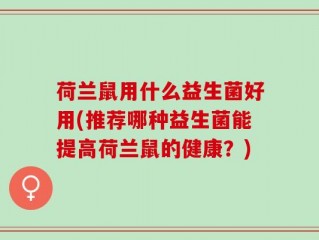 荷兰鼠用什么益生菌好用(推荐哪种益生菌能提高荷兰鼠的健康？)