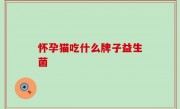 怀孕猫吃什么牌子益生菌