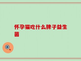 怀孕猫吃什么牌子益生菌