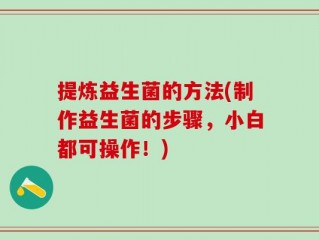 提炼益生菌的方法(制作益生菌的步骤，小白都可操作！)