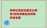 狗狗吐草益生菌怎么喂养(狗狗咳嗽应如何喂养益生菌