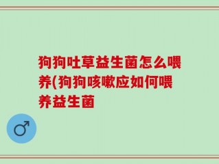 狗狗吐草益生菌怎么喂养(狗狗咳嗽应如何喂养益生菌