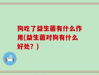 狗吃了益生菌有什么作用(益生菌对狗有什么好处？)