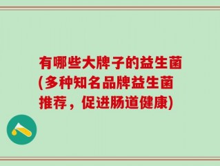 有哪些大牌子的益生菌(多种知名品牌益生菌推荐，促进肠道健康)