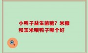小鸭子益生菌糖？米糠和玉米喂鸭子哪个好