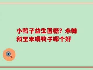 小鸭子益生菌糖？米糠和玉米喂鸭子哪个好