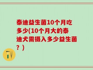 泰迪益生菌10个月吃多少(10个月大的泰迪犬需摄入多少益生菌？)