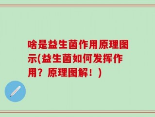 啥是益生菌作用原理图示(益生菌如何发挥作用？原理图解！)
