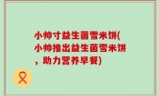 小帅寸益生菌雪米饼(小帅推出益生菌雪米饼，助力营养早餐)
