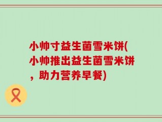 小帅寸益生菌雪米饼(小帅推出益生菌雪米饼，助力营养早餐)