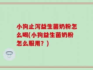 小狗止泻益生菌奶粉怎么喝(小狗益生菌奶粉怎么服用？)
