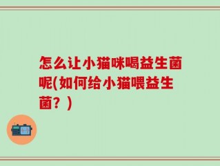 怎么让小猫咪喝益生菌呢(如何给小猫喂益生菌？)