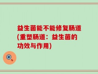 益生菌能不能修复肠道(重塑肠道：益生菌的功效与作用)