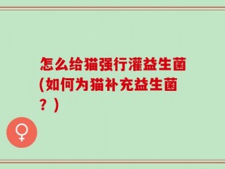 怎么给猫强行灌益生菌(如何为猫补充益生菌？)