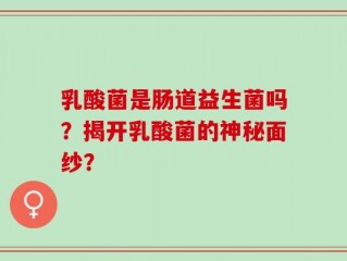 乳酸菌是肠道益生菌吗？揭开乳酸菌的神秘面纱？