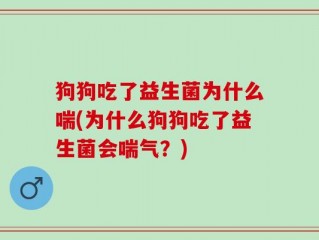 狗狗吃了益生菌为什么喘(为什么狗狗吃了益生菌会喘气？)