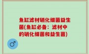 鱼缸滤材硝化细菌益生菌(鱼缸必备：滤材中的硝化细菌和益生菌)