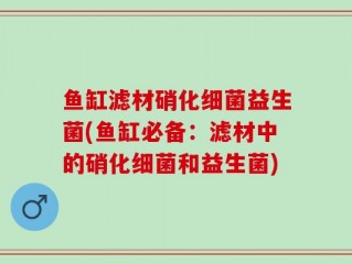 鱼缸滤材硝化细菌益生菌(鱼缸必备：滤材中的硝化细菌和益生菌)