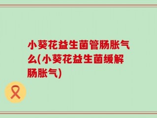 小葵花益生菌管肠胀气么(小葵花益生菌缓解肠胀气)