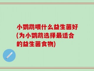 小鹦鹉喂什么益生菌好(为小鹦鹉选择最适合的益生菌食物)