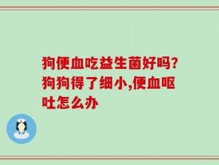 狗便血吃益生菌好吗？狗狗得了细小,便血呕吐怎么办