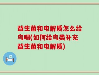 益生菌和电解质怎么给鸟喝(如何给鸟类补充益生菌和电解质)