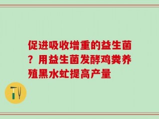 促进吸收增重的益生菌？用益生菌发酵鸡粪养殖黑水虻提高产量