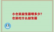 小仓鼠益生菌喂多少？仓鼠吃什么益生菌