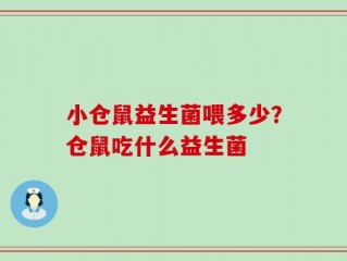 小仓鼠益生菌喂多少？仓鼠吃什么益生菌