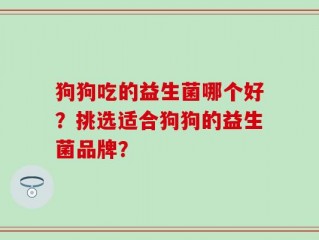 狗狗吃的益生菌哪个好？挑选适合狗狗的益生菌品牌？
